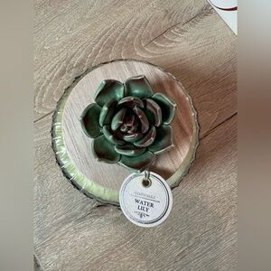 Green Succulent Candle by